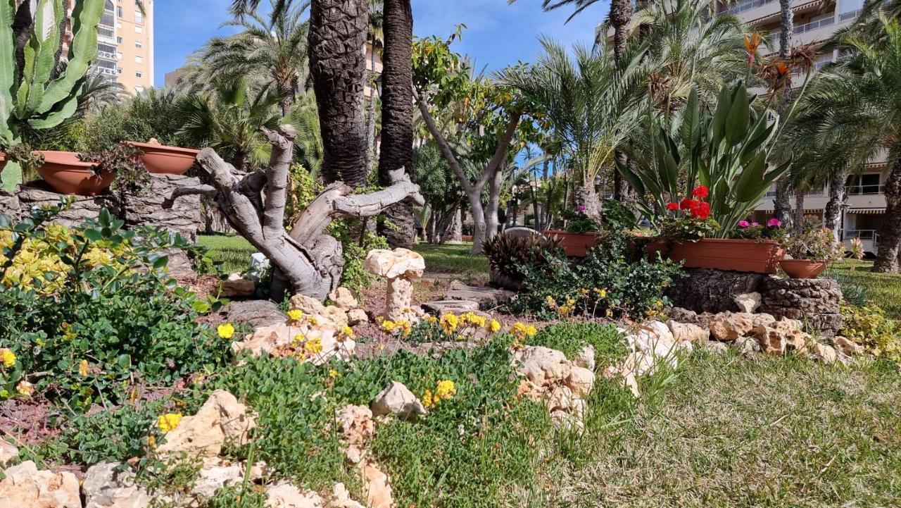 Apartament Palm Beach-El Palmeral Торевьиа Экстерьер фото